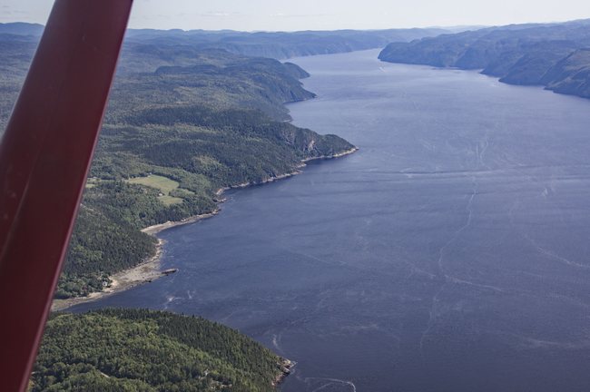  Ein Seitenarm des Sankt-Lorenz-Stroms, der Saguenay-Fluss aus der Luft