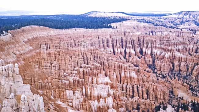 Einzigartige Felsformationen füllen einen Talkessel im Bryce Canyon