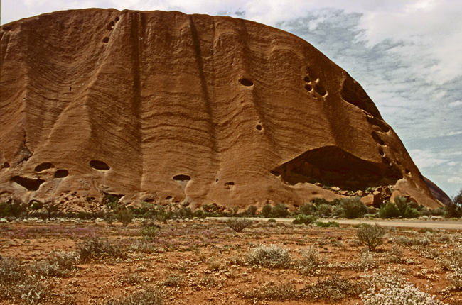 Pockennarbige Rückseite des Uluru