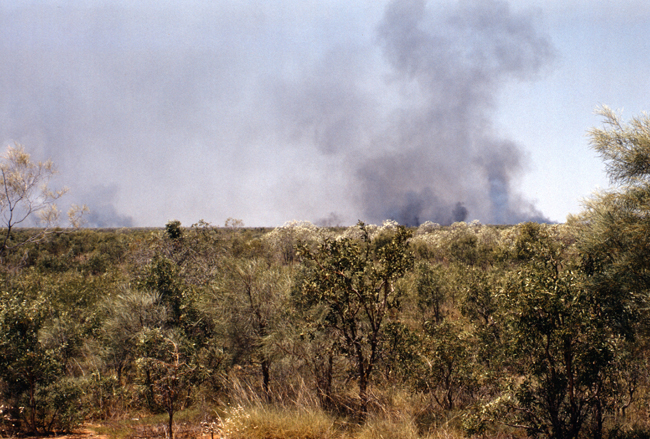 Buschfeuer im Outback