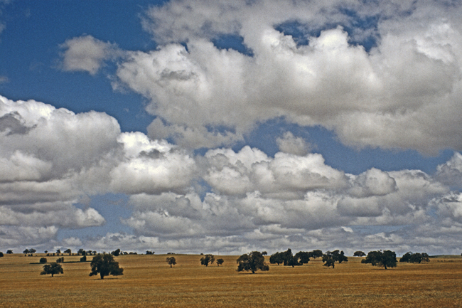 Malerische Wolken über dem Weizengürtel Westaustraliens