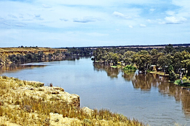 Ungeheuere Wassermassen führt der Murray in diesem Jahr