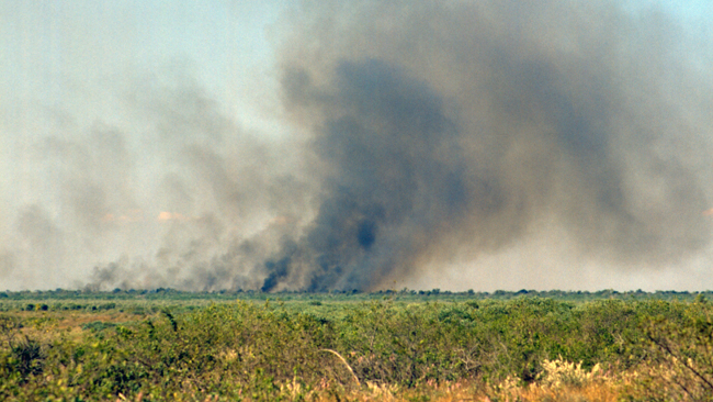 Buschfeuer gehören in Australien zum Symbol der trockenen Jahreszeit