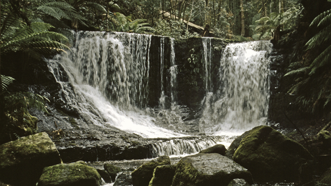 Die 'Horseshoe'-Wasserfälle im Mount Field Nationalpark