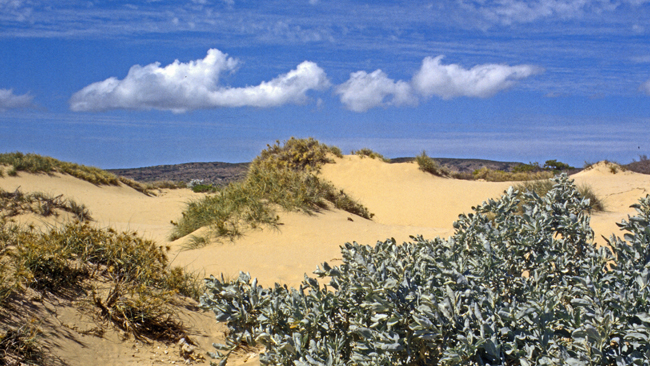 Malerische Sanddünen schirmen etwas gegen den frischen Wind ab