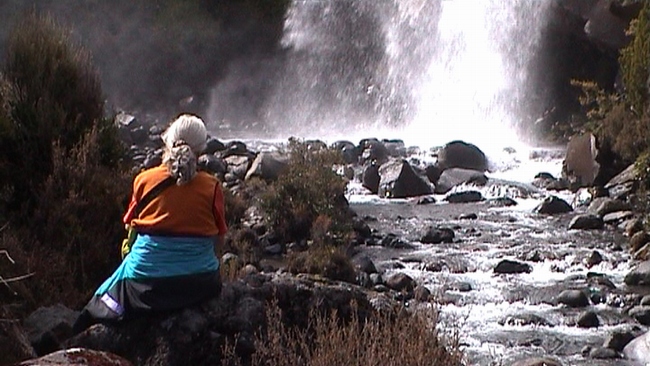 Entspannung in wilder Natur an den 'Taranaki Falls'