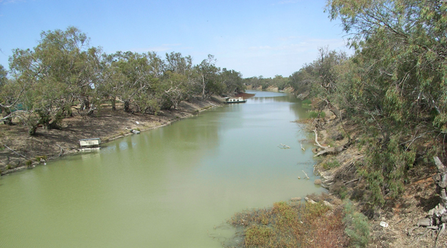 Reichlich Wasser im Darling River bei Menindee