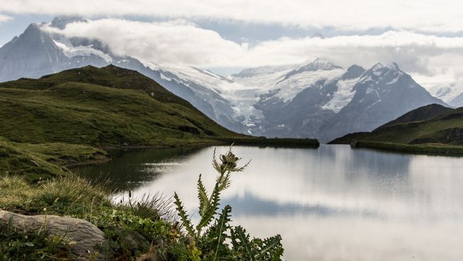Ein unvergesslicher Blick auf den Grindelwald-Gletscher und die Bergwelt