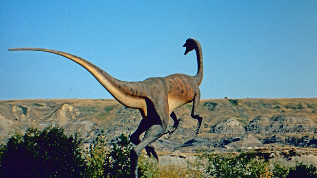 Die Badlands - Einst die Heimat von Dinosauriern